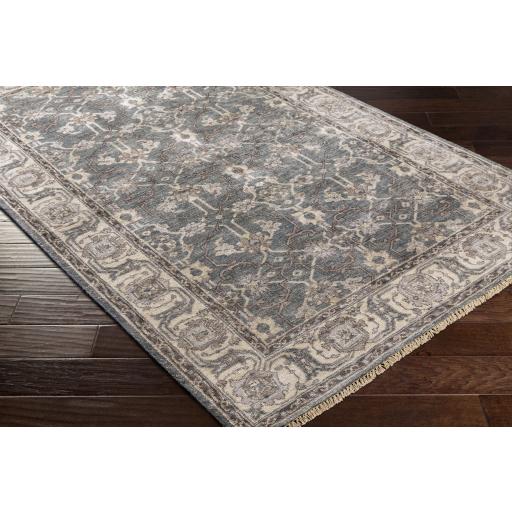 Surya Theodora THO-3001 Dark Brown Light Gray 10' x 14' Rug