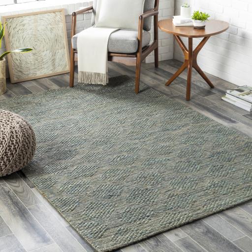 Surya Trace TCE-2305 Brown Sage 5' x 7'6" Rug