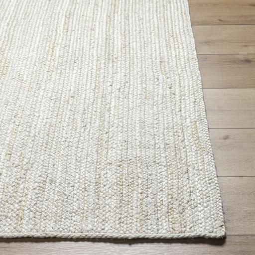 Surya Trenzado TZD-2301 Beige 6' x 9' Rug