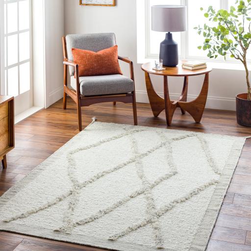 Surya Tripoli TRP-2301 Beige Charcoal 2' x 3' Rug