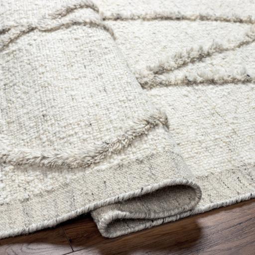 Surya Tripoli TRP-2301 Beige Charcoal 2' x 3' Rug