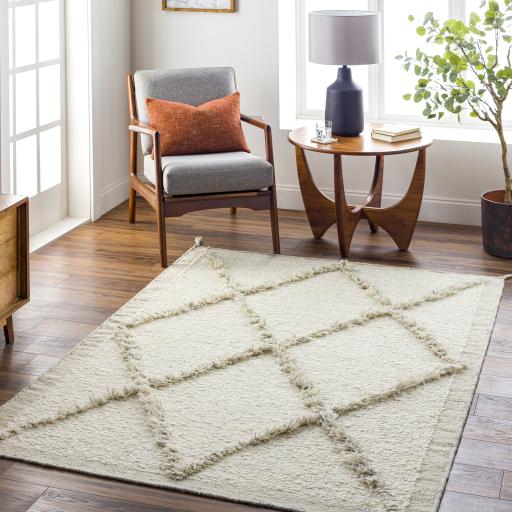 Surya Tripoli TRP-2302 Beige Charcoal 2' x 3' Rug