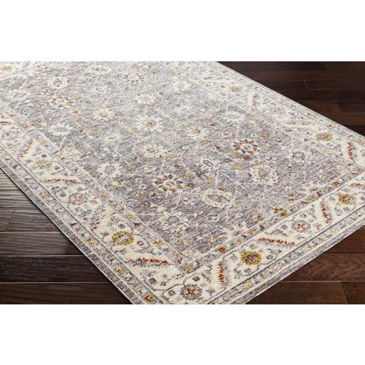 Surya Truva TRV-2302 Blue Brick Red 2'3" x 9' Rug