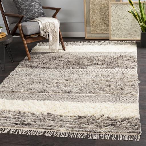 Surya Tulum TMU-2302 Beige Dark Brown 2' x 3' Rug