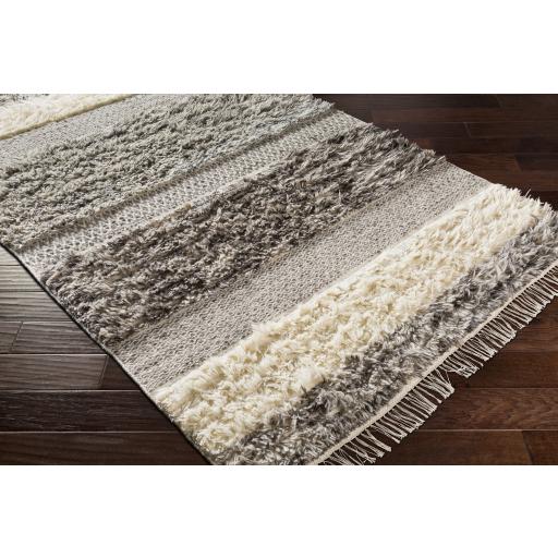 Surya Tulum TMU-2302 Beige Dark Brown 2' x 3' Rug