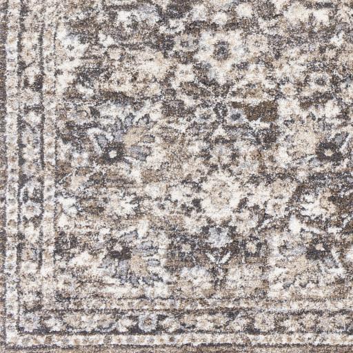 Surya Tuscany TUS-2319 Brown Charcoal 7'10" Square Rug