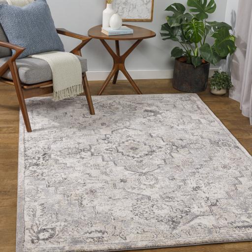 Surya Tuscany TUS-2321 Cream Gray 7'10" Square Rug