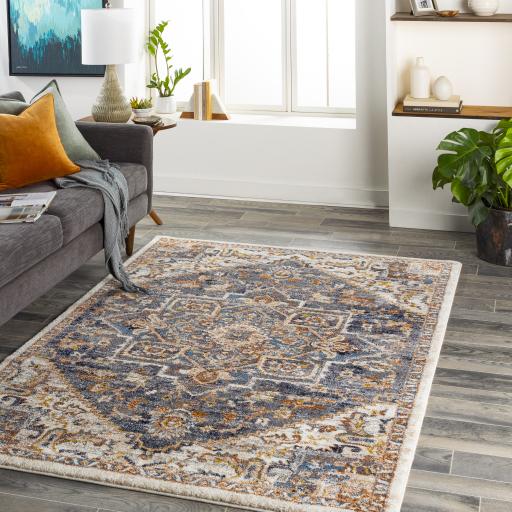 Surya Tuscany TUS-2334 Blue Brown 7'10" Square Rug