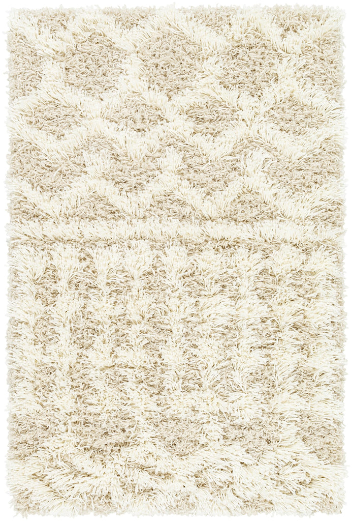 Surya Urban Shag USG-2303 Cream Light Beige 10' x 13'11" Rug