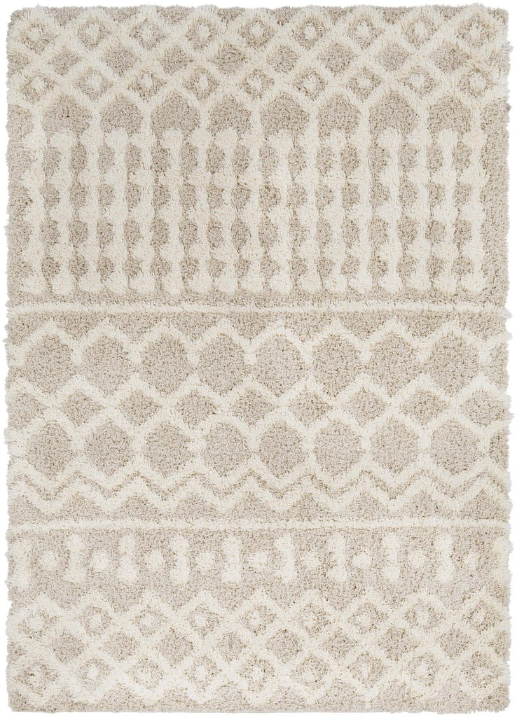 Surya Urban Shag USG-2303 10' x 14' Rug