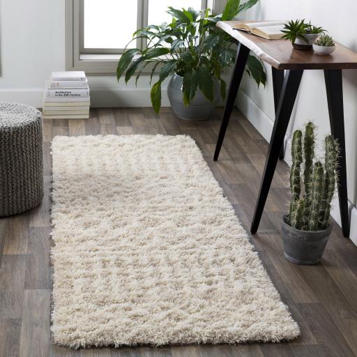 Surya Urban Shag USG-2303 Cream Light Beige 10' x 13'11" Rug