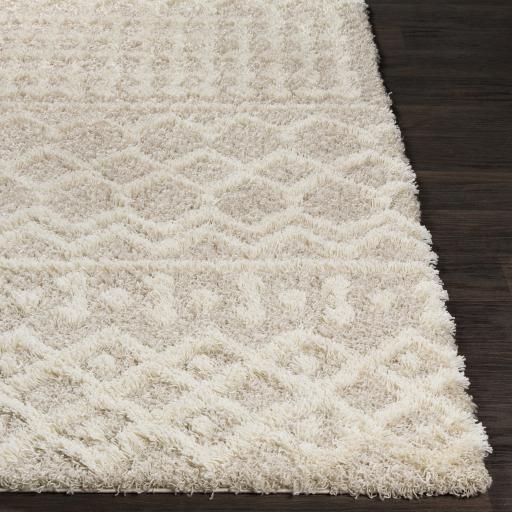 Surya Urban Shag USG-2303 Cream Light Beige 10' x 13'11" Rug