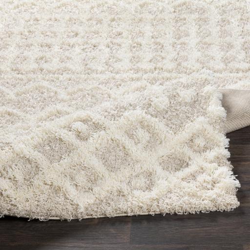 Surya Urban Shag USG-2303 Cream Light Beige 10' x 13'11" Rug