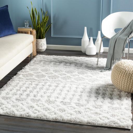 Surya Urban Shag USG-2310 Light Gray White 2' x 2'11" Rug