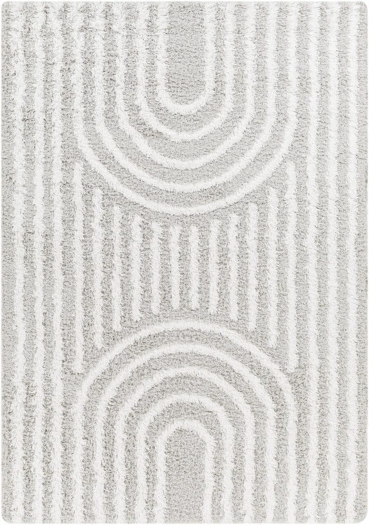 Surya Urban Shag USG-2314 Light Gray White 5'3" x 7'3" Rug