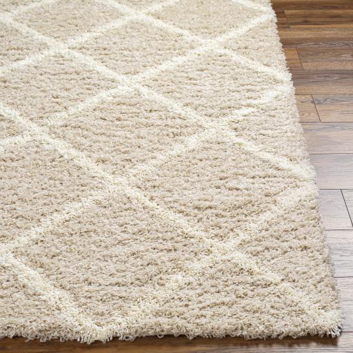 Surya Urban Shag USG-2319 Ivory Light Beige 7'10" x 10'2" Rug