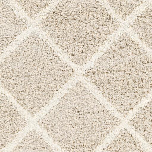 Surya Urban Shag USG-2319 Ivory Light Beige 7'10" x 10'2" Rug