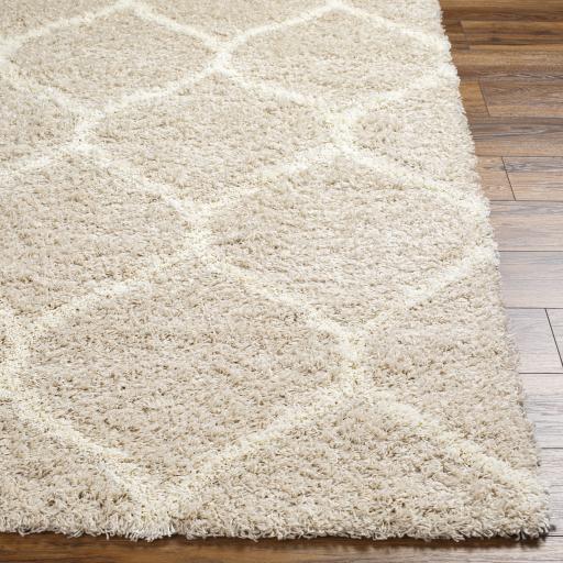 Surya Urban Shag USG-2320 Ivory Light Beige 7'10" x 10'2" Rug