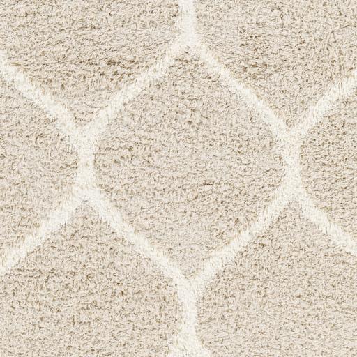 Surya Urban Shag USG-2320 Ivory Light Beige 7'10" x 10'2" Rug