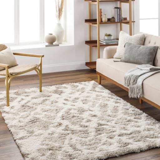 Surya Urban Shag USG-2323 Ivory Light Beige 5'3" x 7'3" Rug