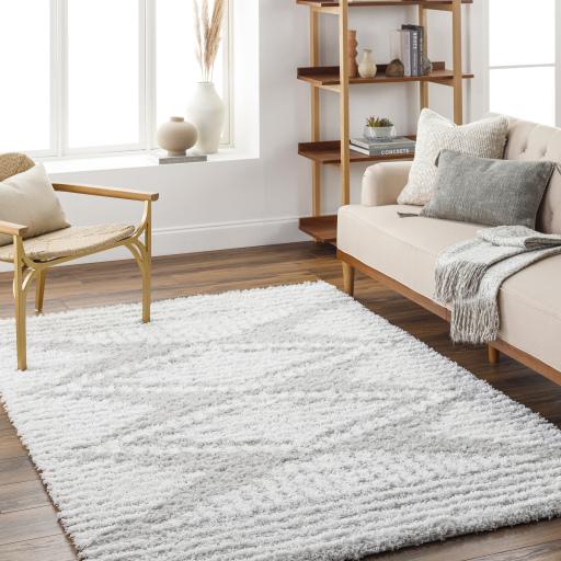 Surya Urban Shag USG-2325 Light Gray White 5'3" x 7'3" Rug