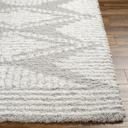 Surya Urban Shag USG-2325 Light Gray White 5'3" x 7'3" Rug