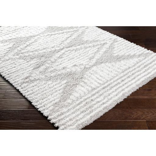 Surya Urban Shag USG-2325 Light Gray White 5'3" x 7'3" Rug