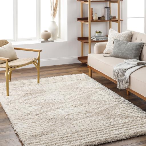 Surya Urban Shag USG-2326 Ivory Light Beige 5'3" x 7'3" Rug