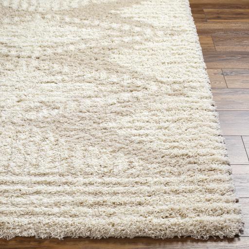 Surya Urban Shag USG-2326 Ivory Light Beige 5'3" x 7'3" Rug