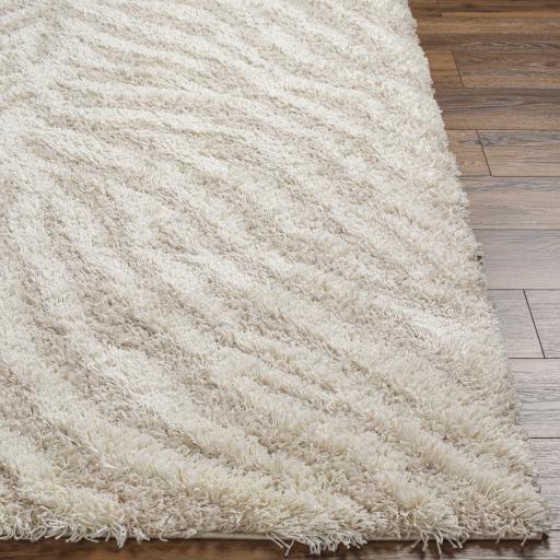 Surya Urban Shag USG-2332 Ivory Light Beige 5'3" x 7'3" Rug