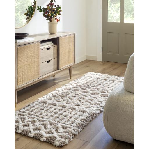 Surya Urban Shag USG-2343 Ivory Medium Brown 2'7" x 7'3" Rug