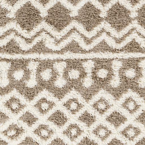 Surya Urban Shag USG-2343 Ivory Medium Brown 2'7" x 7'3" Rug