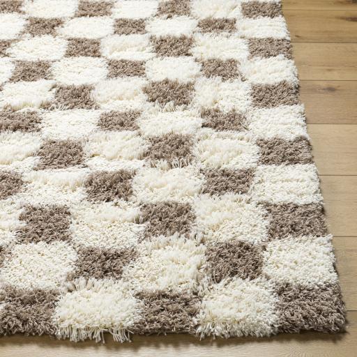 Surya Urban Shag USG-2348 Brown Cream 2'7" x 7'3" Rug