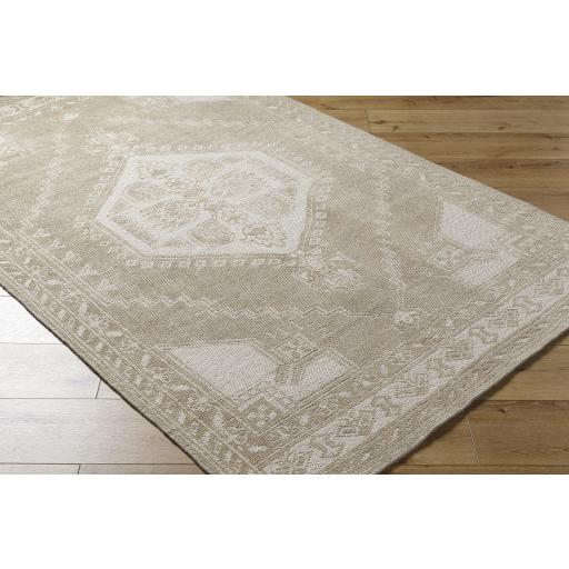 Surya Zahra ZHA-2305 Cream Light Brown 2' x 3' Rug