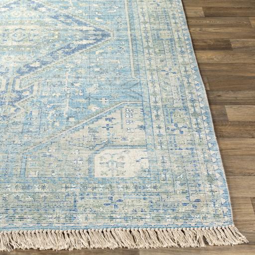 Surya Zainab ZAI-2304 Aqua Dark Green 2' x 3' Rug