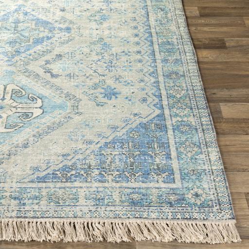 Surya Zainab ZAI-2314 Aqua Dark Green 2'3" x 4' Rug