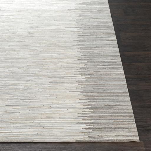 Surya Zander ZND-1004 Beige Ivory 8' x 10' Rug