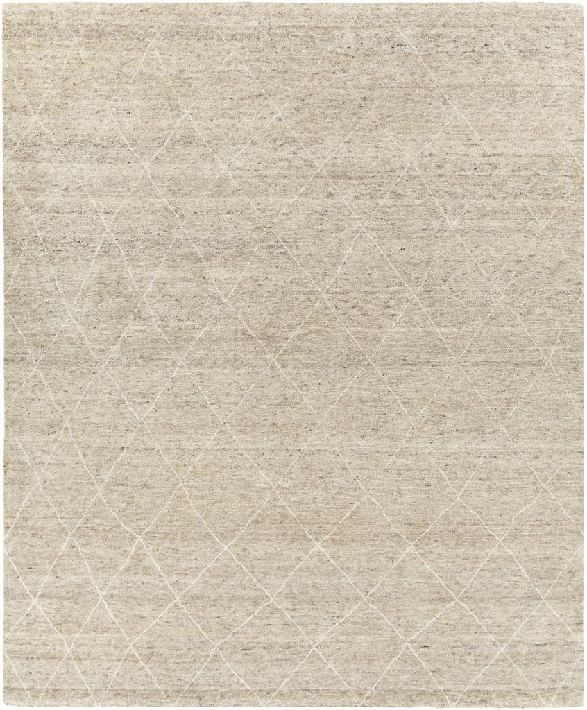 Surya Zara ZAR-2303 Beige Brown 10' x 14' Rug