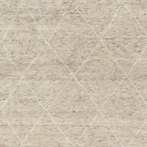 Surya Zara ZAR-2303 Beige Brown 10' x 14' Rug