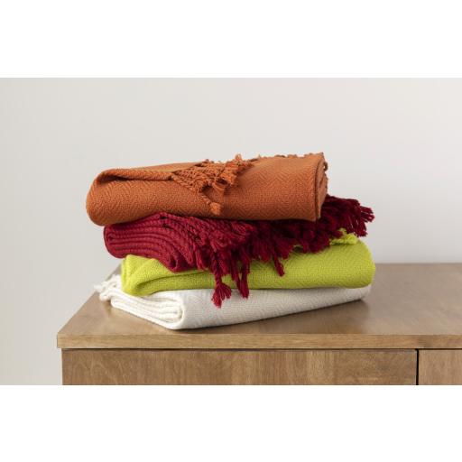 Surya Turner TUR-8403 Brick Red 50"W x 60"L Throw