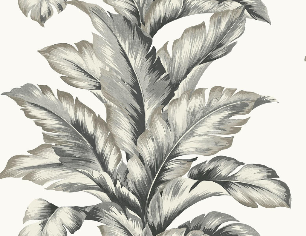 Seabrook Banana Springs Grey Wallpaper