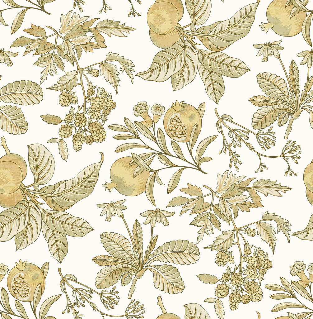 A-Street Prints Cecilia Honey Fruit Wallpaper