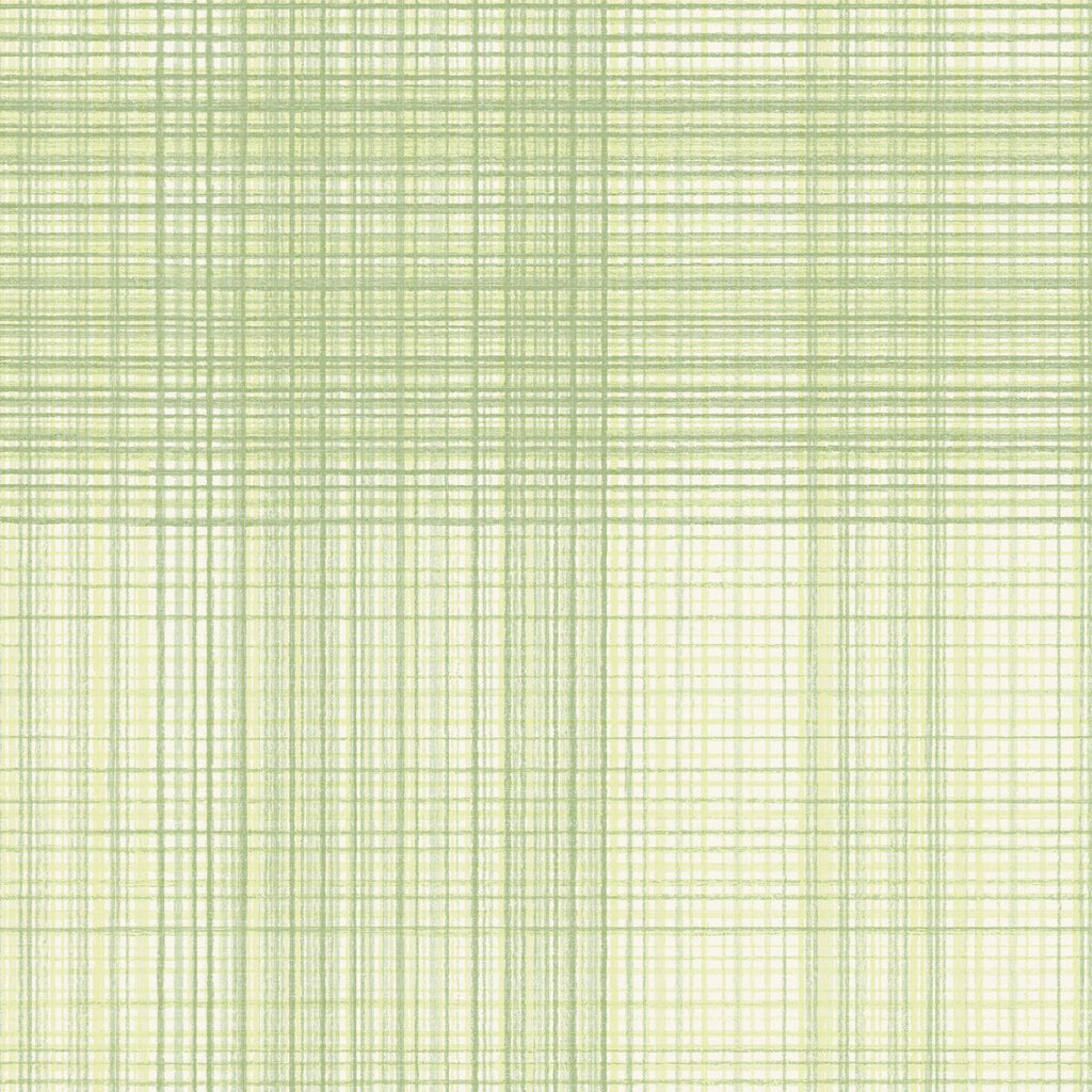 Brewster Home Fashions Madras Green Plaid Wallpaper