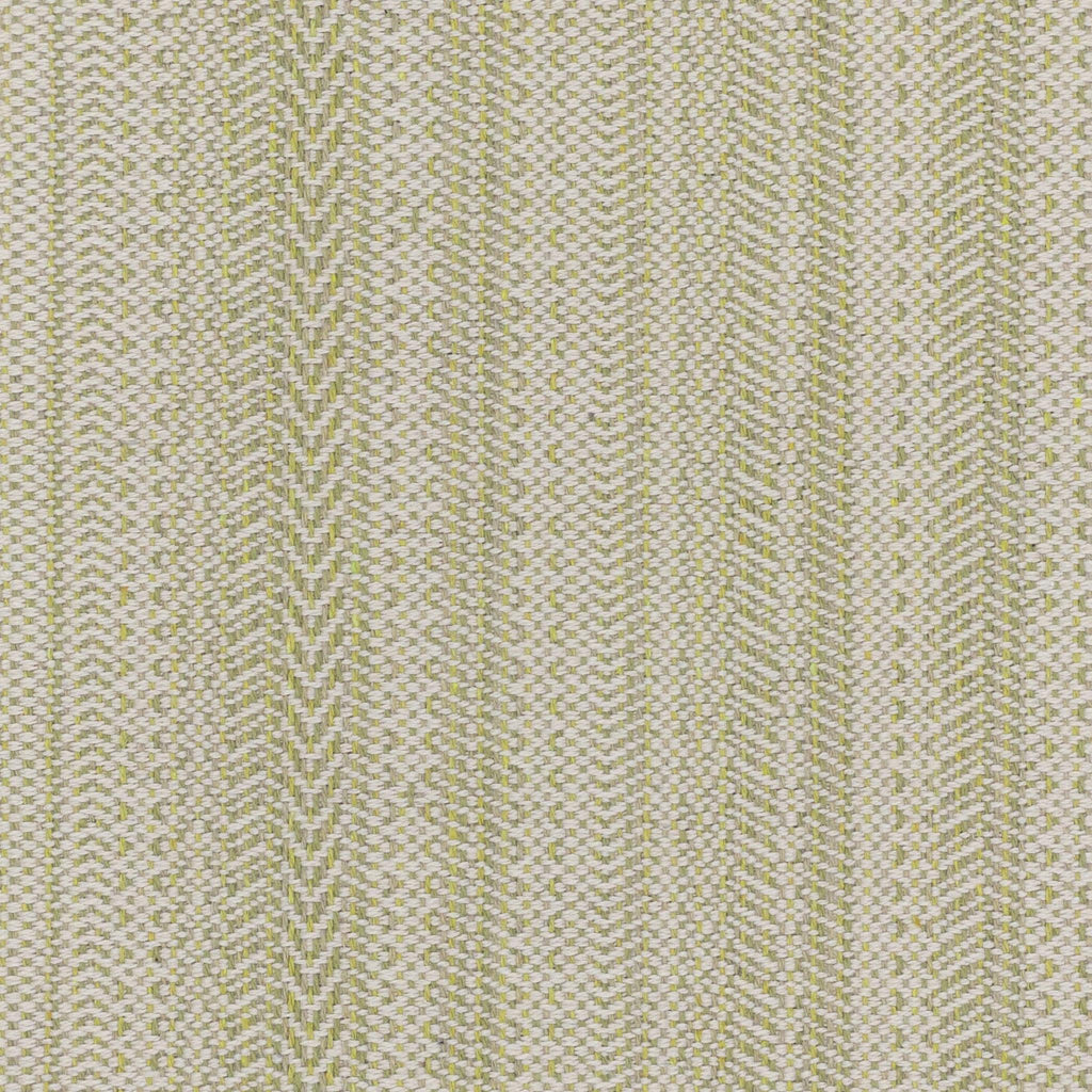 Stout PAINE SEEDLING Fabric