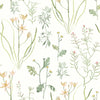 York Alpine Botanical Peel And Stick Orange Wallpaper