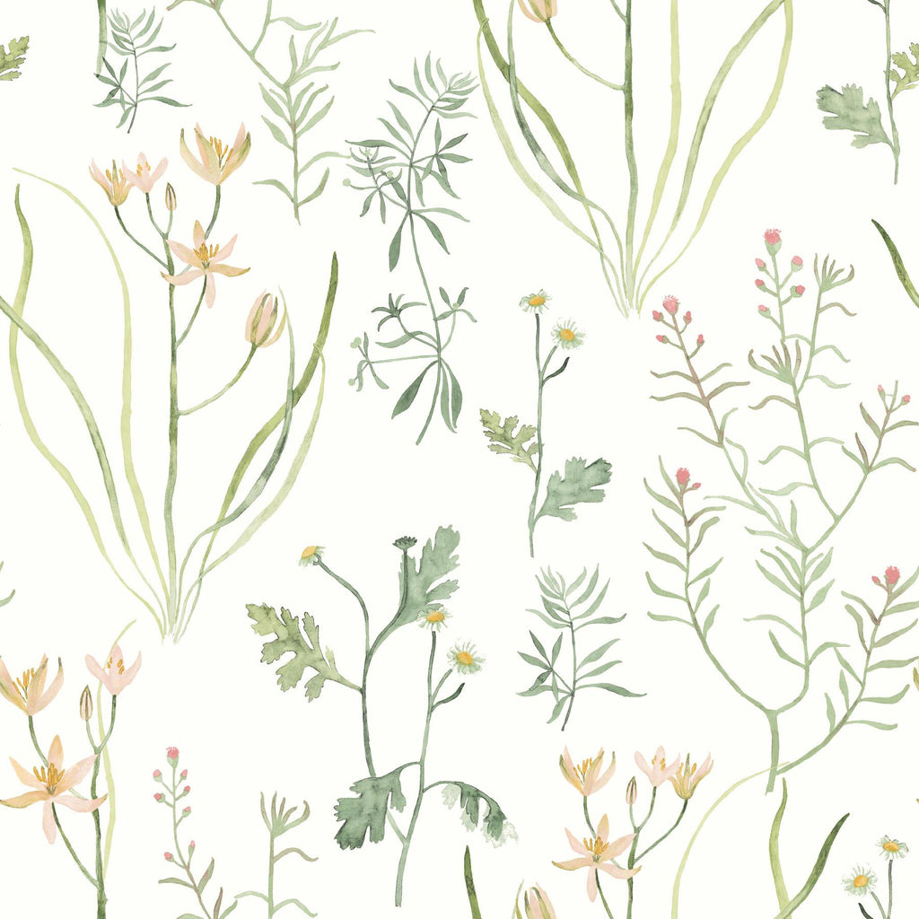 York Peach Alpine Botanical Peel & Stick Orange Wallpaper