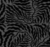 York Fern Fronds Black Wallpaper