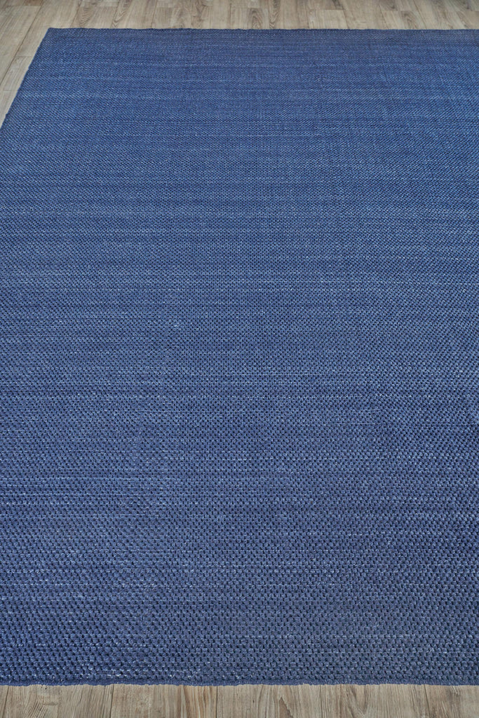 Exquisite Bali Indoor/Outdoor Flatweave PET yarn Blue Area Rug 8.0'X10.0' Rug