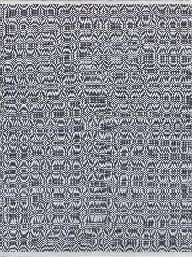 Exquisite Rugs Echo Indoor/Outdoor Flatweave PET yarn 4892 Ivory/Gray 4' x 6' Area Rug