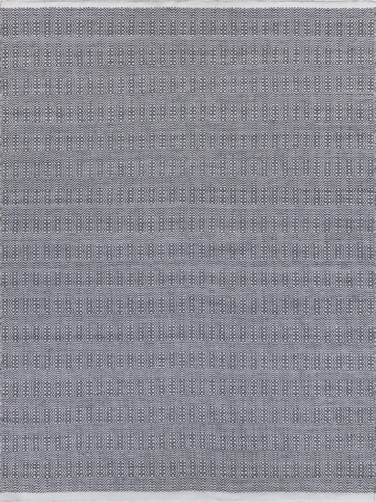 Exquisite Echo Indoor/Outdoor Flatweave PET yarn Ivory/Gray Area Rug 5.0'X8.0' Rug